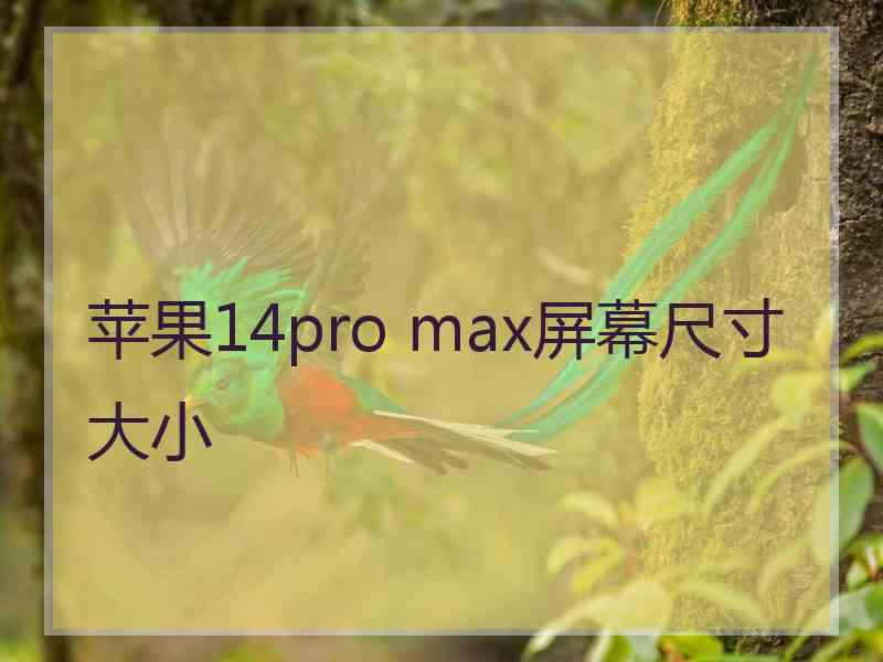 苹果14pro max屏幕尺寸大小