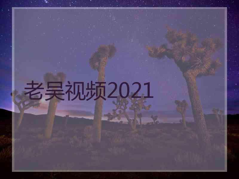 老吴视频2021