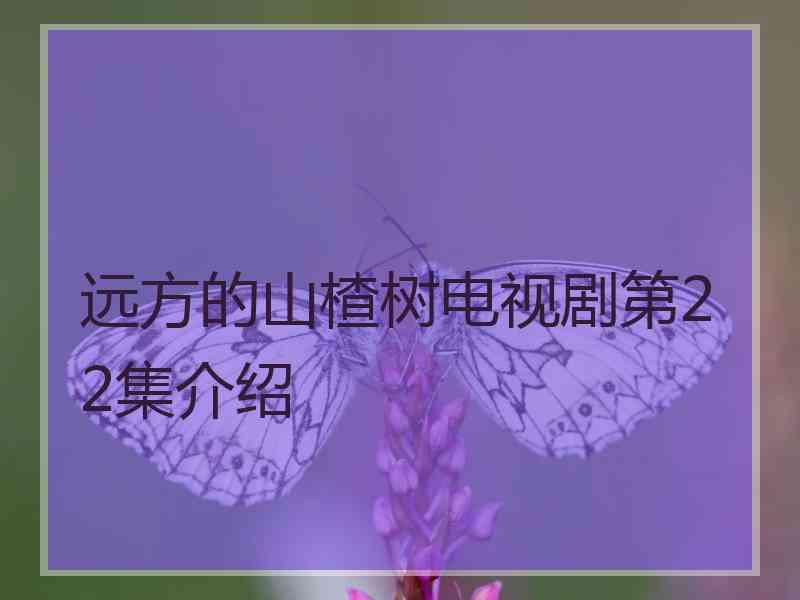 远方的山楂树电视剧第22集介绍