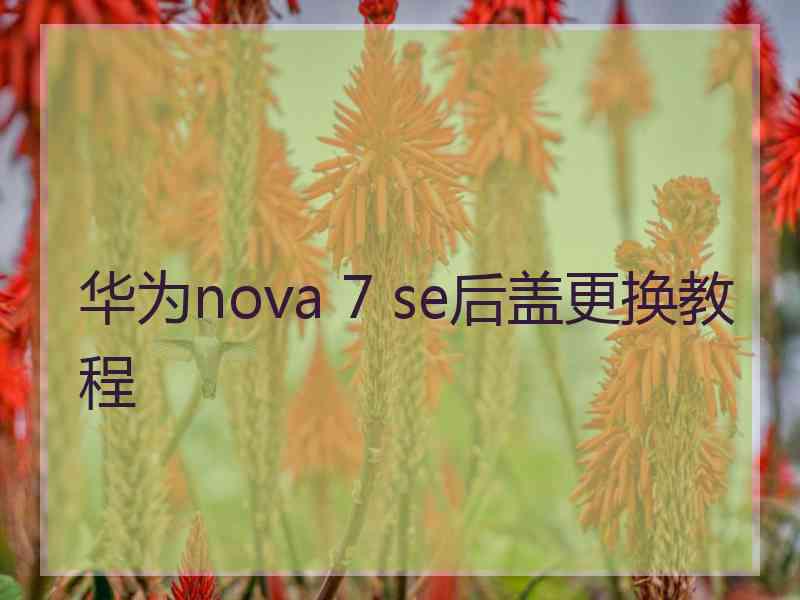 华为nova 7 se后盖更换教程