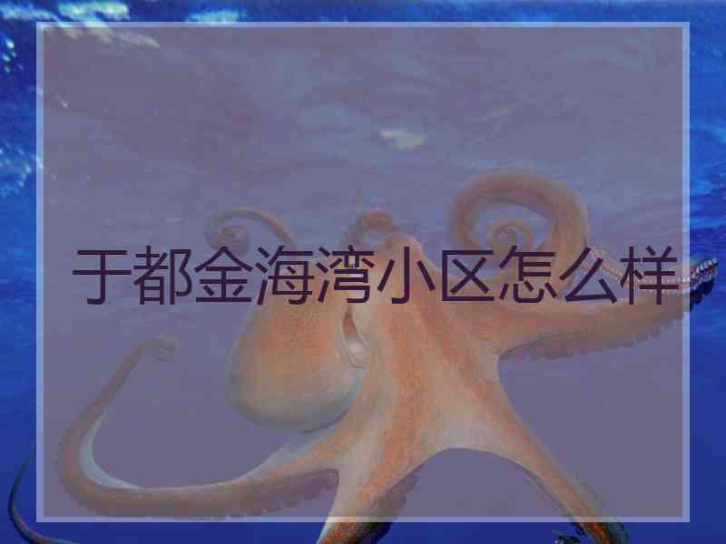 于都金海湾小区怎么样