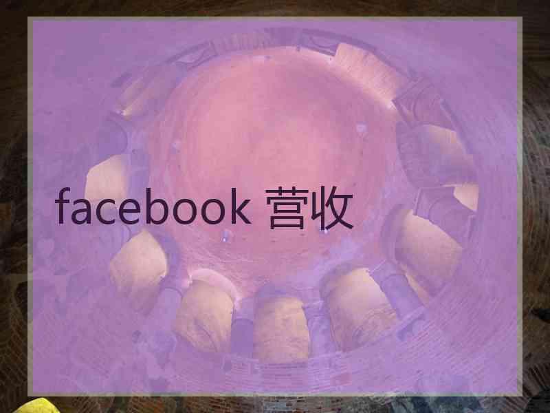 facebook 营收