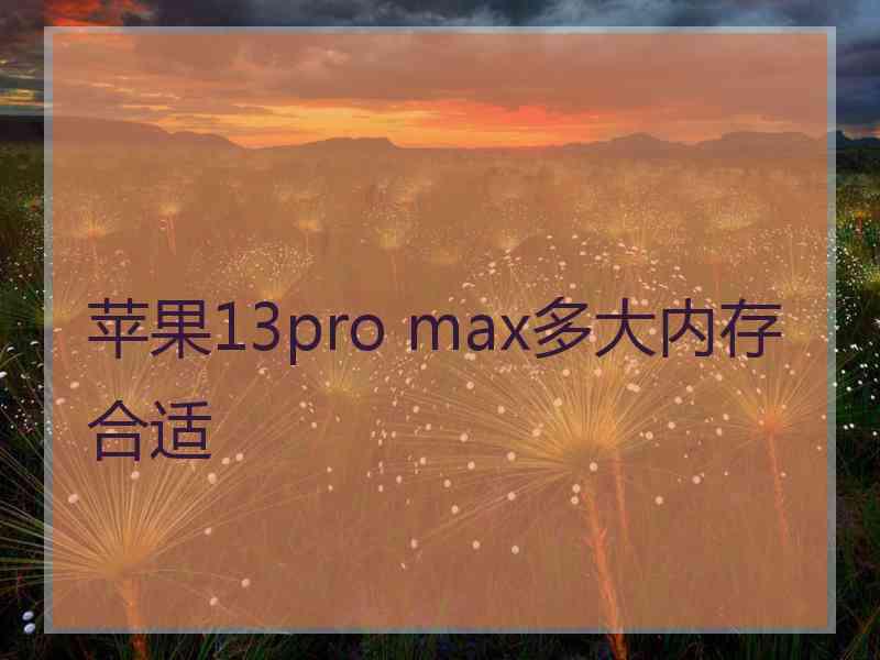 苹果13pro max多大内存合适