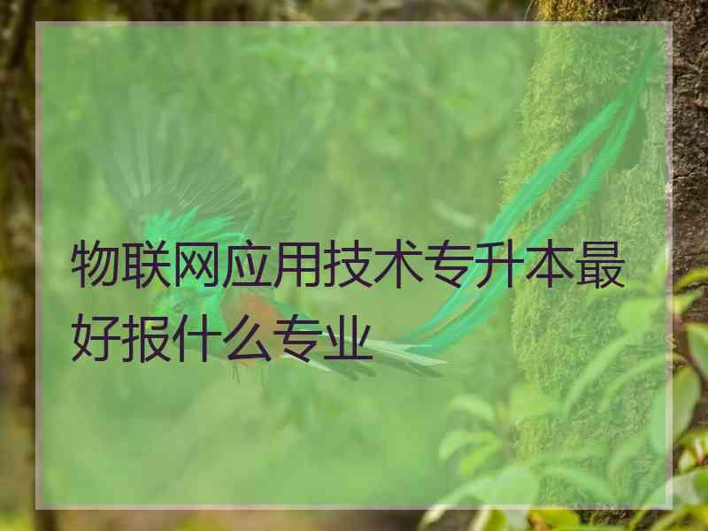 物联网应用技术专升本最好报什么专业