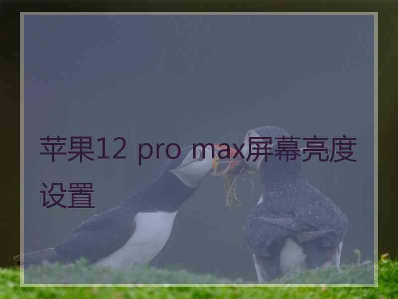 苹果12 pro max屏幕亮度设置