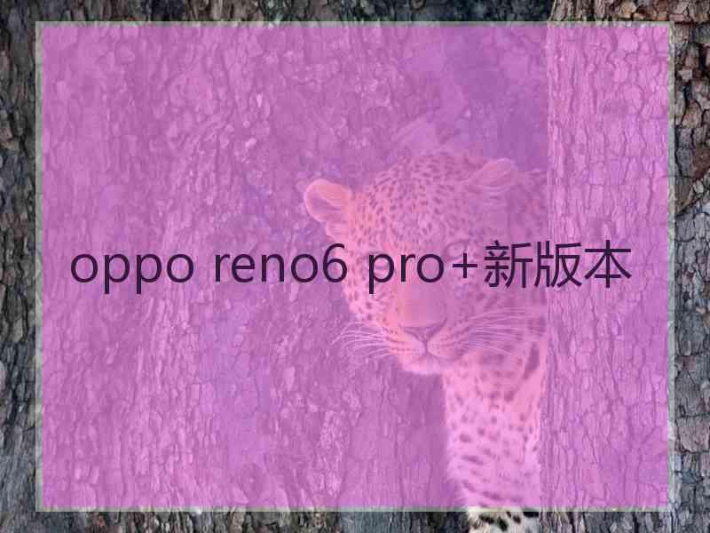 oppo reno6 pro+新版本