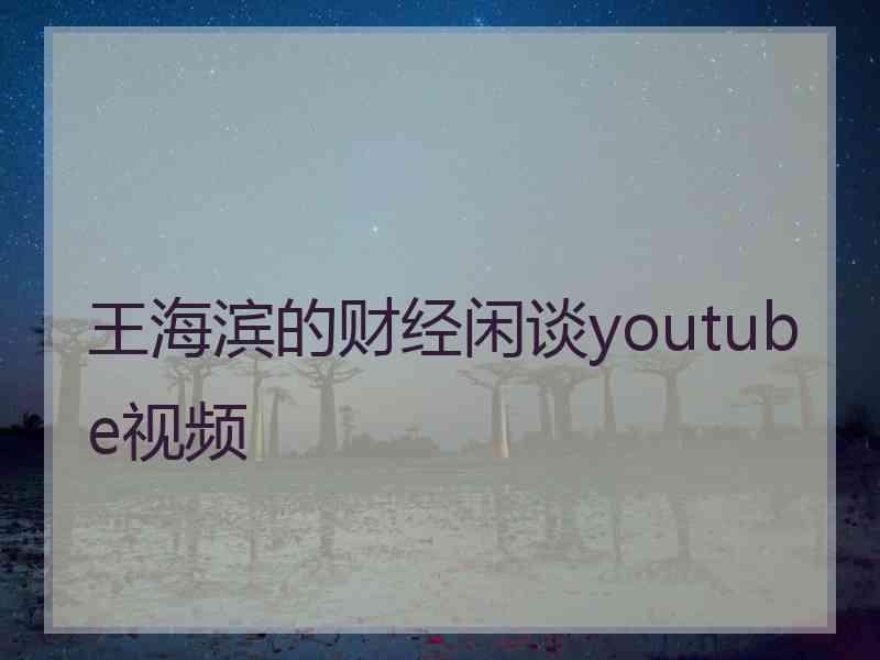 王海滨的财经闲谈youtube视频