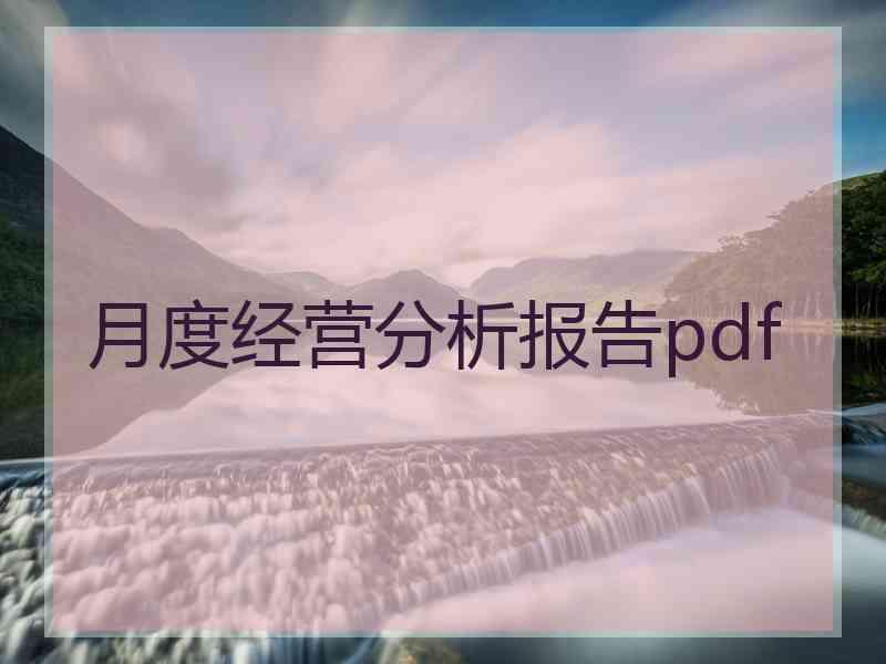 月度经营分析报告pdf