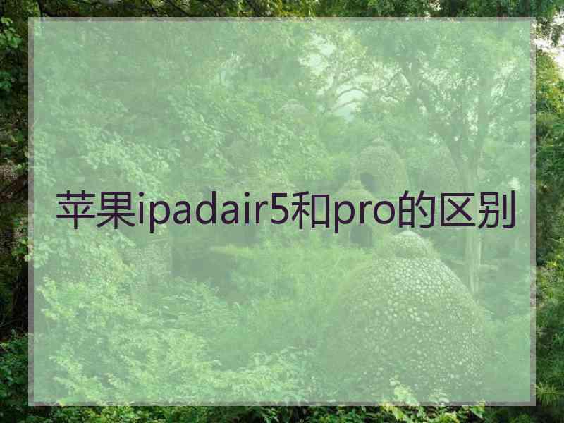 苹果ipadair5和pro的区别