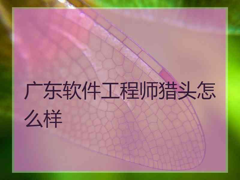 广东软件工程师猎头怎么样