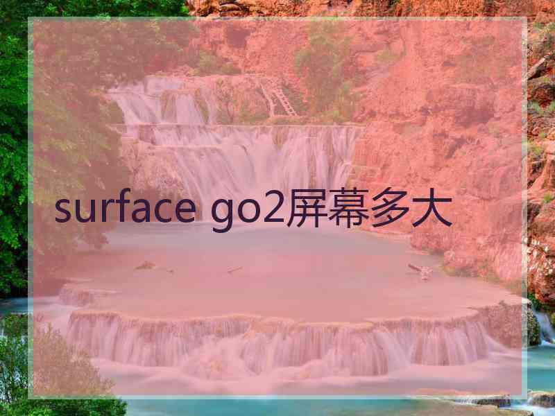 surface go2屏幕多大