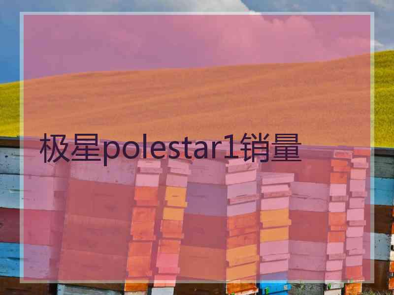 极星polestar1销量