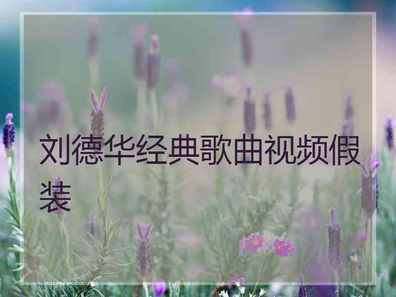 刘德华经典歌曲视频假装