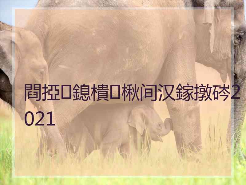 閰掗鎴樻楸间汉鎵撴硶2021