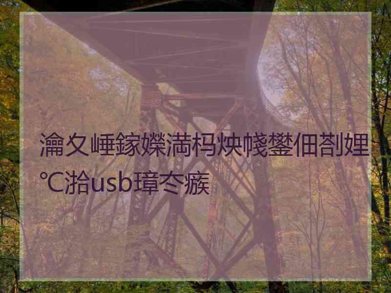 瀹夊崜鎵嬫満杩炴帴鐢佃剳娌℃湁usb璋冭瘯