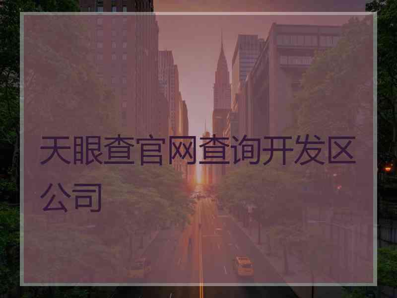 天眼查官网查询开发区公司