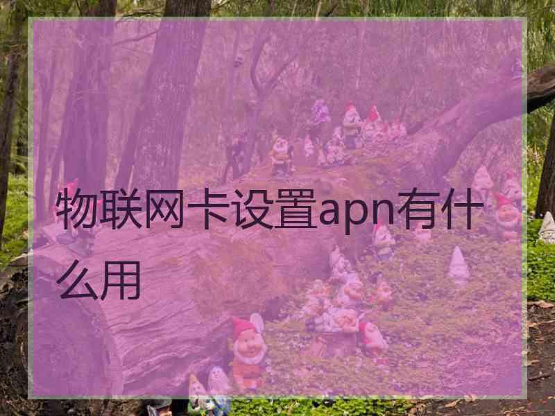 物联网卡设置apn有什么用