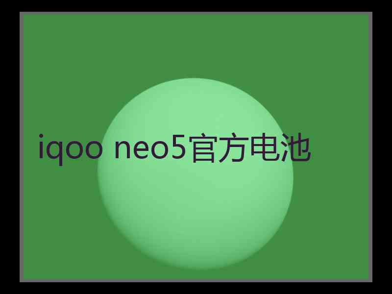 iqoo neo5官方电池