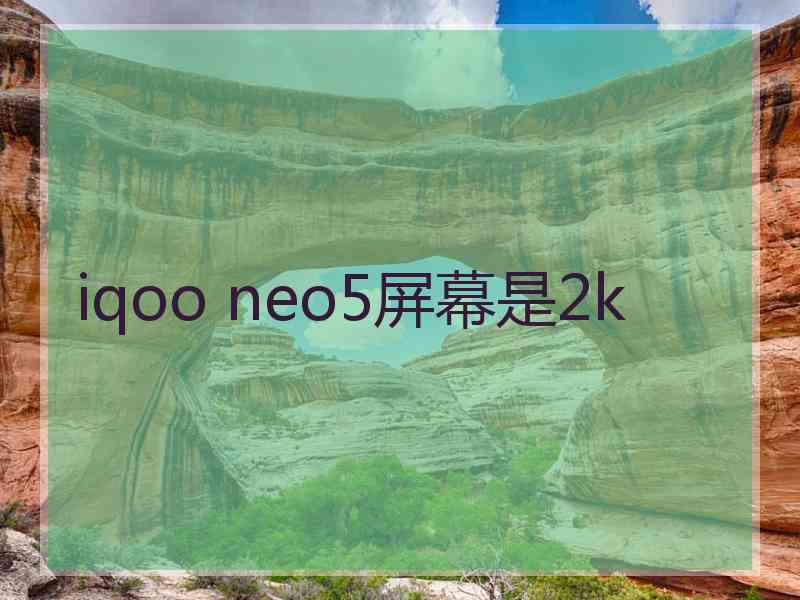 iqoo neo5屏幕是2k