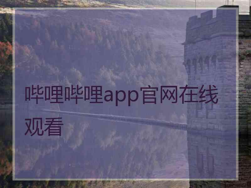 哔哩哔哩app官网在线观看