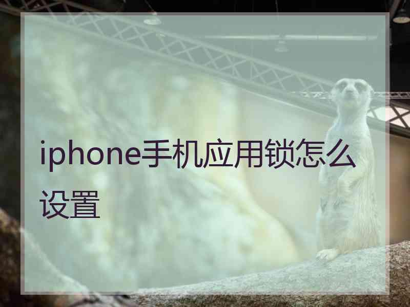 iphone手机应用锁怎么设置