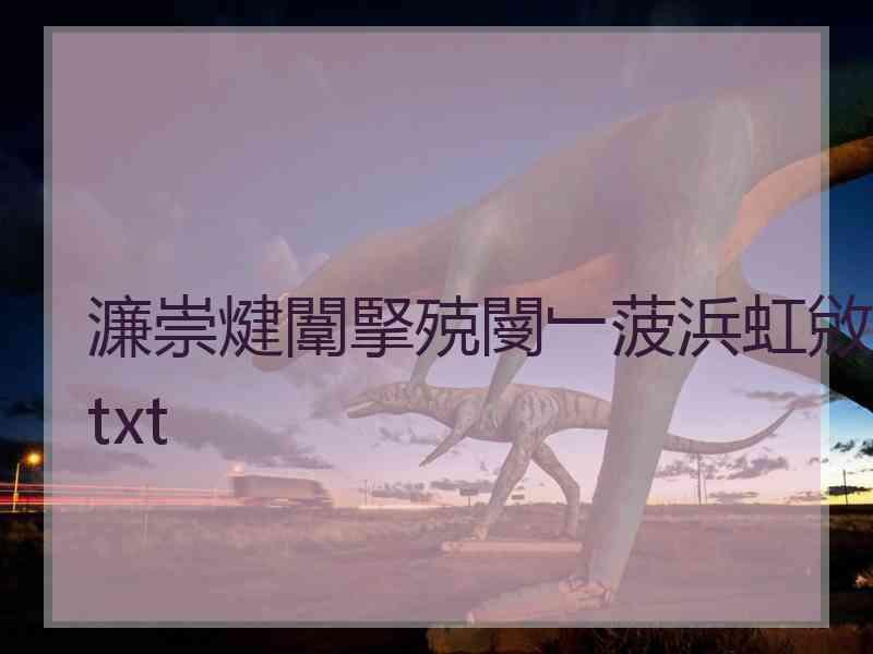 濂崇煡闈掔殑閿﹂菠浜虹敓txt