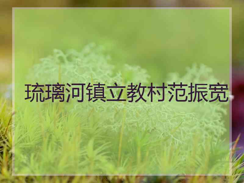 琉璃河镇立教村范振宽