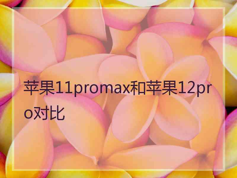 苹果11promax和苹果12pro对比