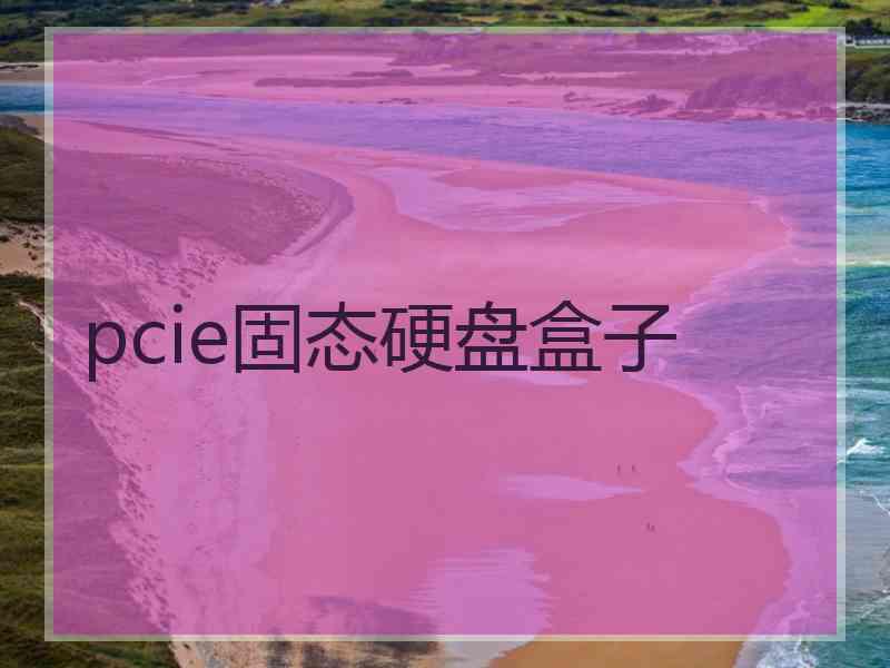 pcie固态硬盘盒子