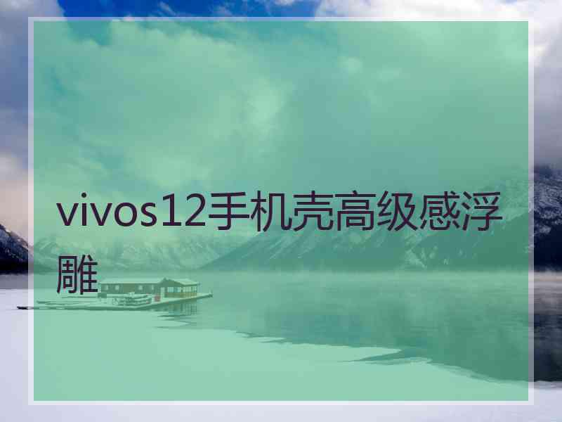 vivos12手机壳高级感浮雕