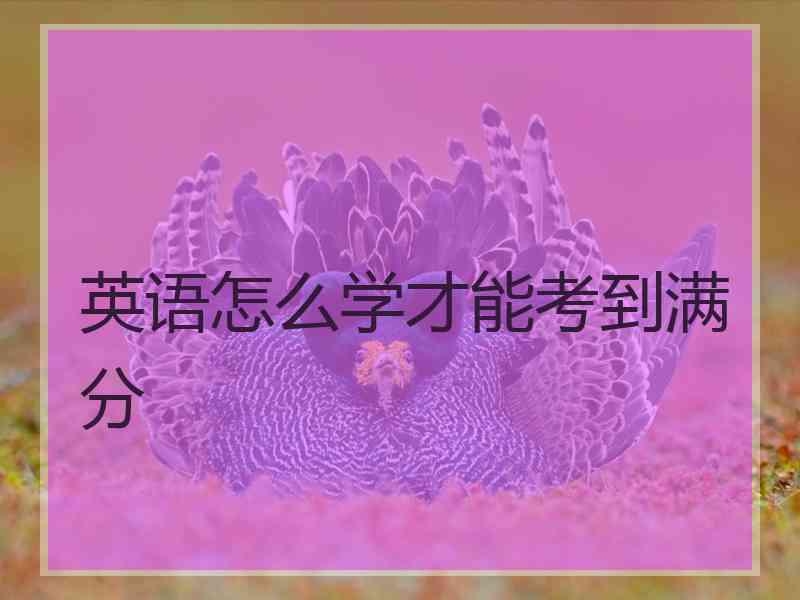 英语怎么学才能考到满分