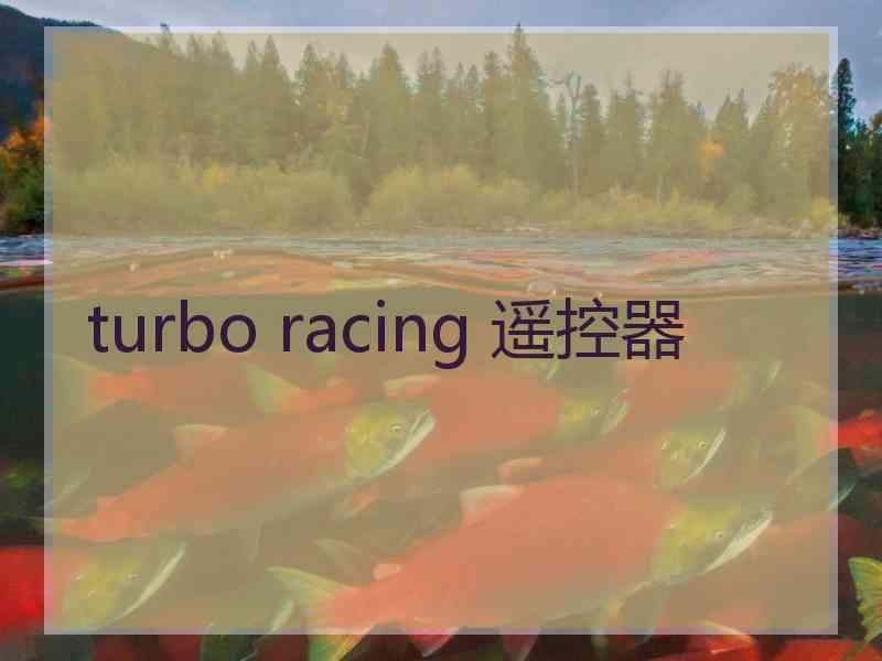 turbo racing 遥控器