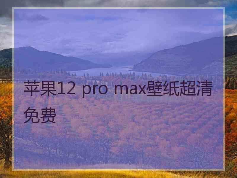 苹果12 pro max壁纸超清免费