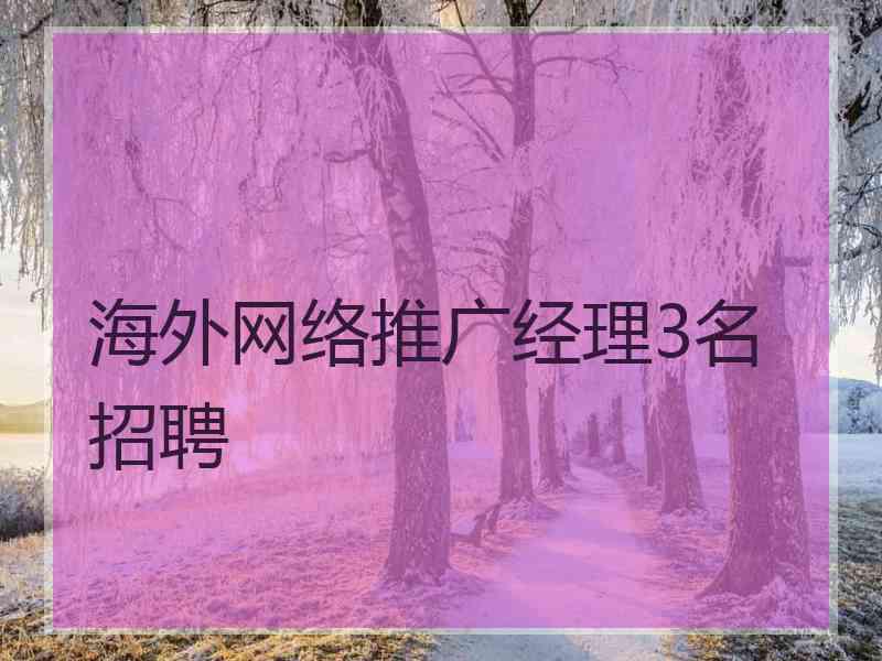 海外网络推广经理3名招聘