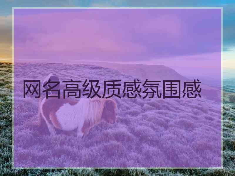 网名高级质感氛围感