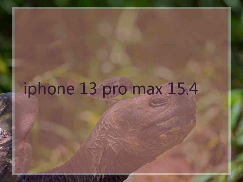 iphone 13 pro max 15.4