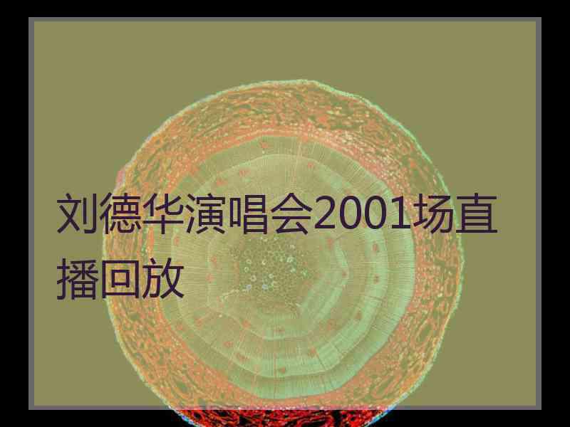 刘德华演唱会2001场直播回放