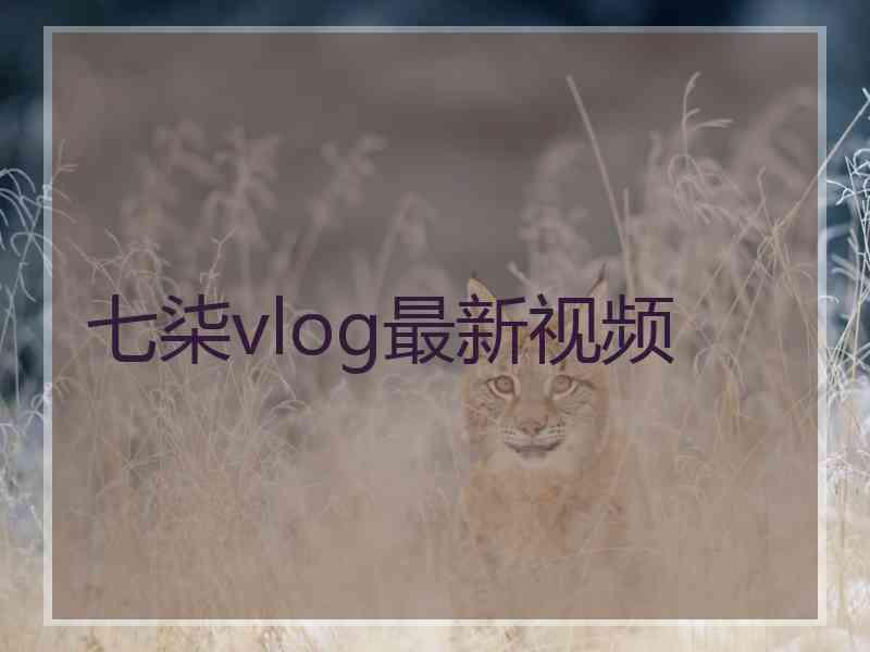 七柒vlog最新视频