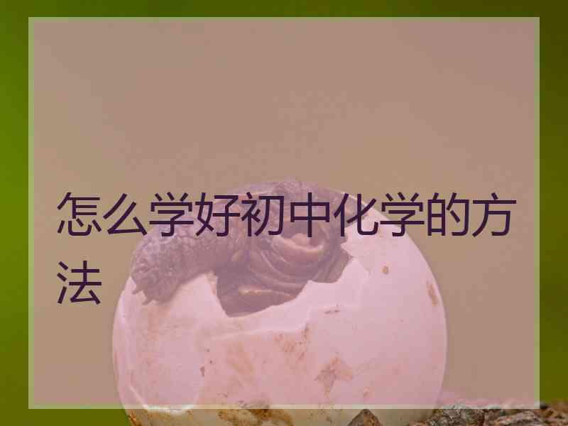 怎么学好初中化学的方法