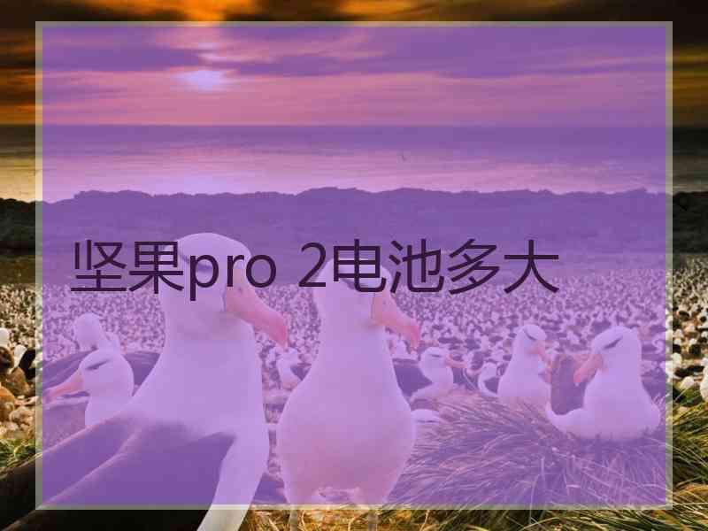 坚果pro 2电池多大