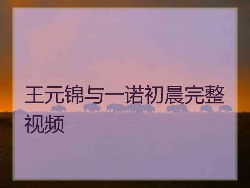 王元锦与一诺初晨完整视频