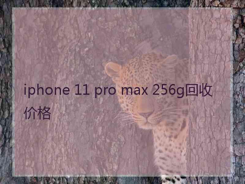 iphone 11 pro max 256g回收价格