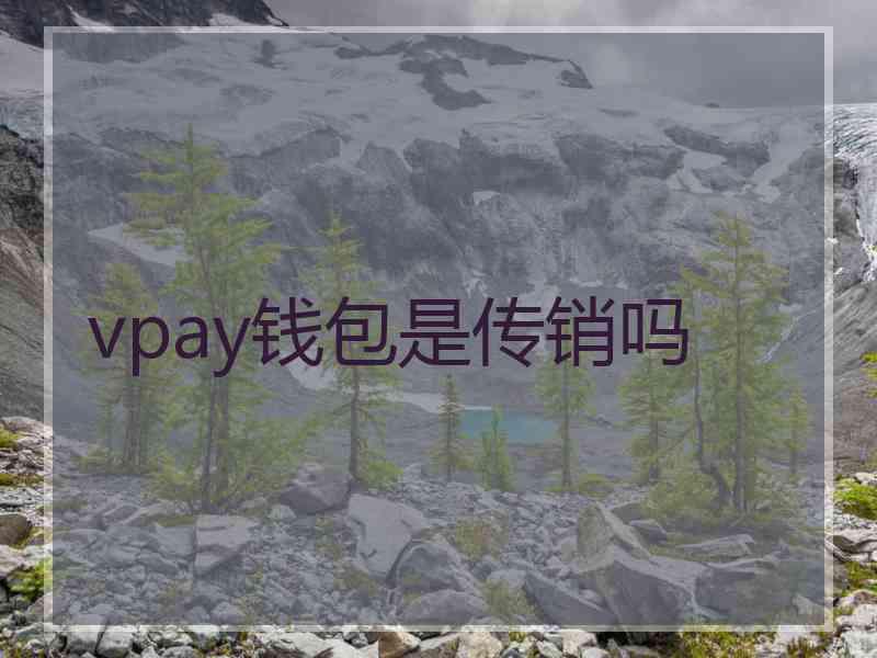 vpay钱包是传销吗