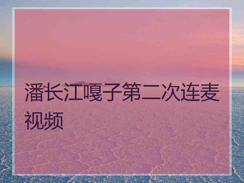 潘长江嘎子第二次连麦视频