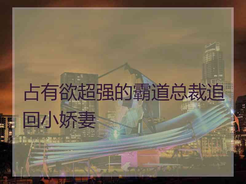 占有欲超强的霸道总裁追回小娇妻