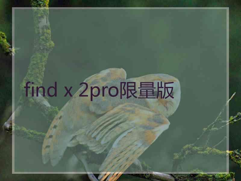 find x 2pro限量版