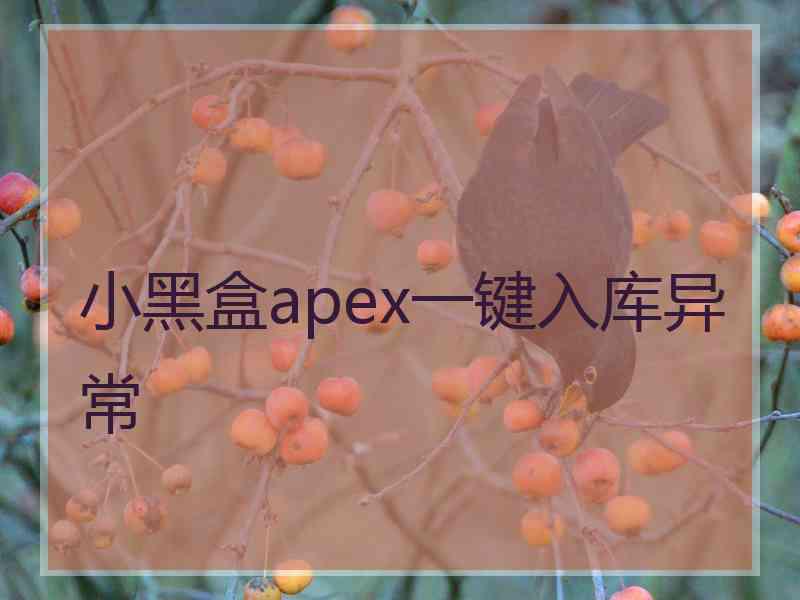 小黑盒apex一键入库异常