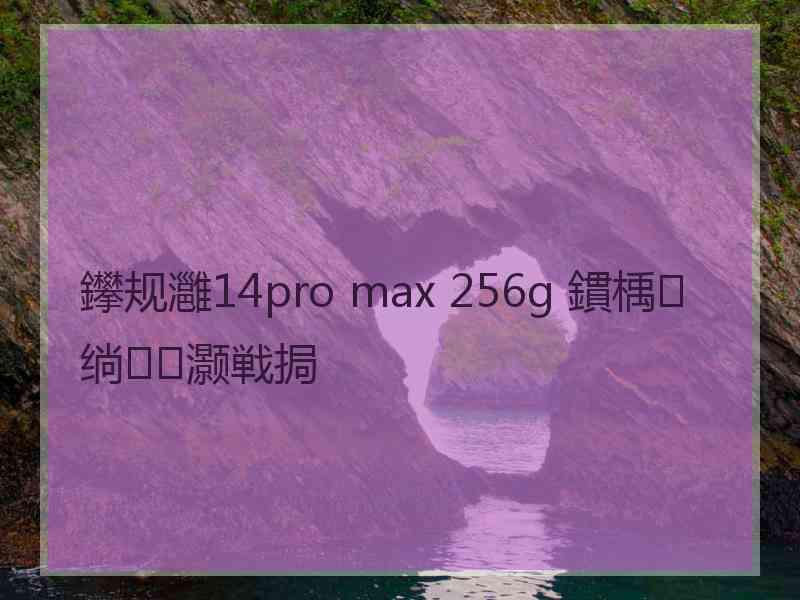 鑻规灉14pro max 256g 鏆楀绱灏戦挶