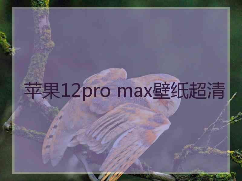 苹果12pro max壁纸超清