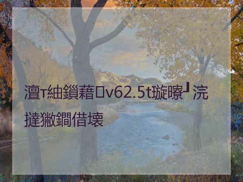 澶т紬鎻藉v62.5t璇曢┚浣撻獙鐧借壊